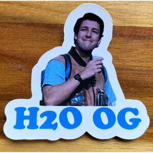 Funny High Quality H2O The Waterboy VINYL STICKER Bobby Boucher movie Inspired